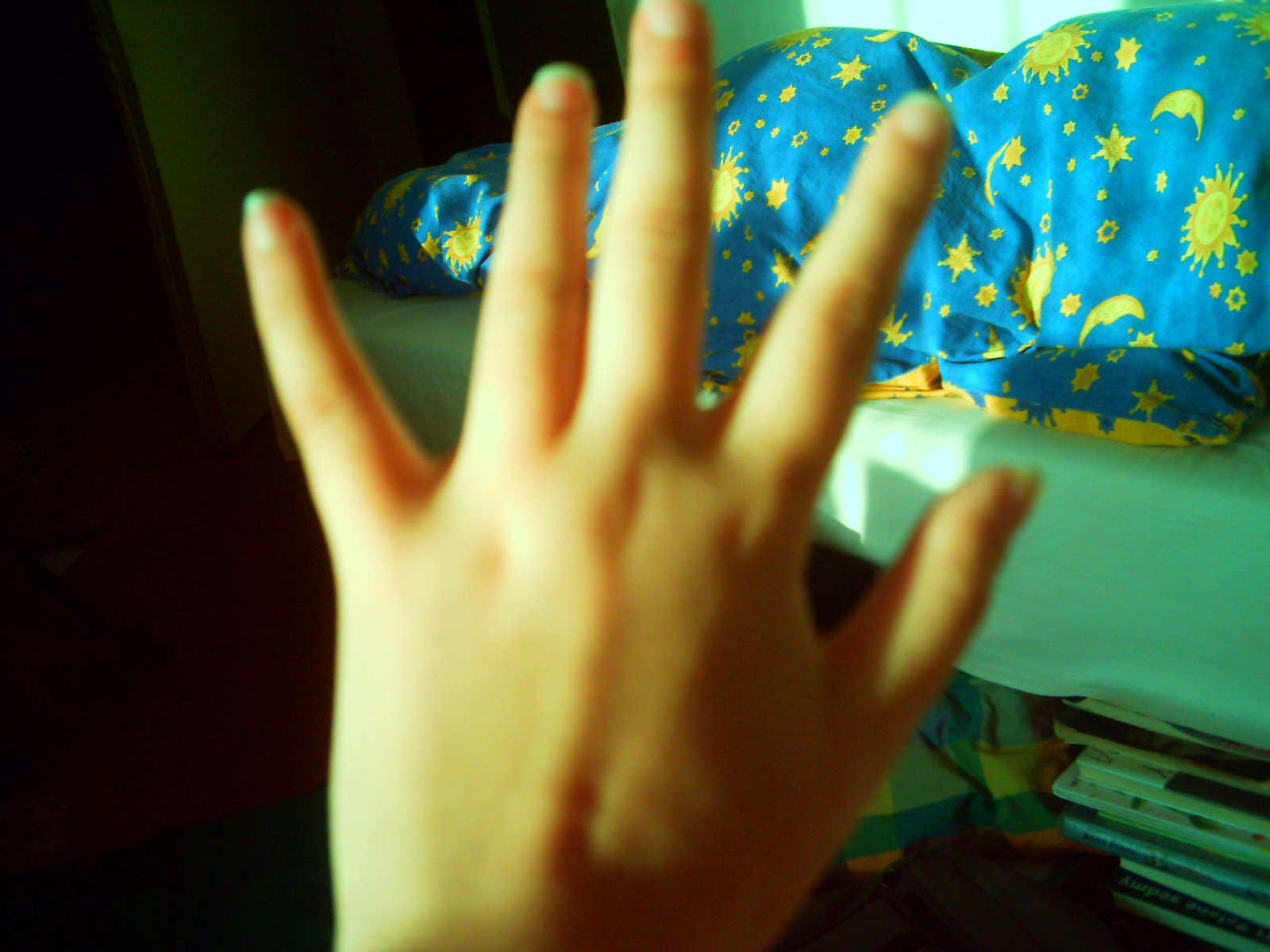 IMAG0012.JPG